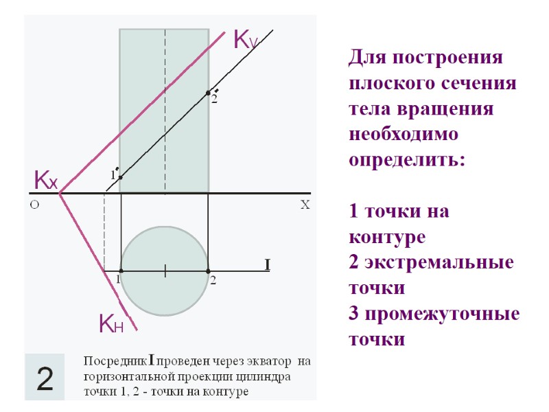 Для построения плоского сечения тела вращения необходимо определить:  1 точки на контуре 2